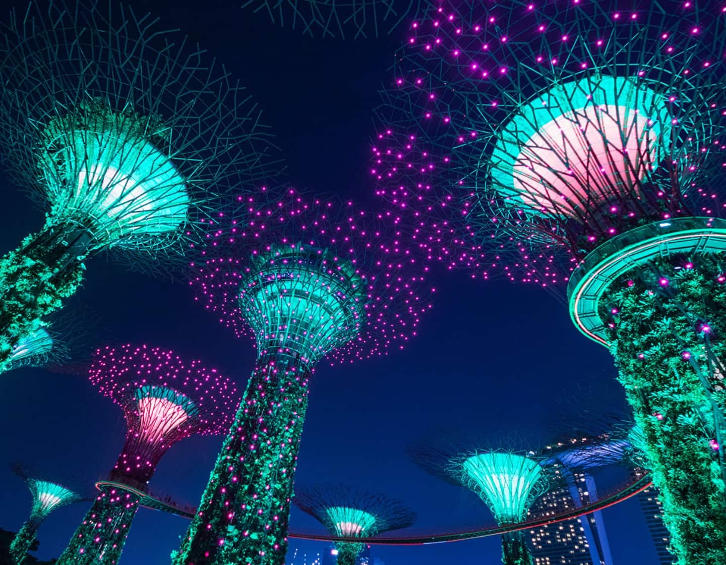 Garden By The Bay Light Show