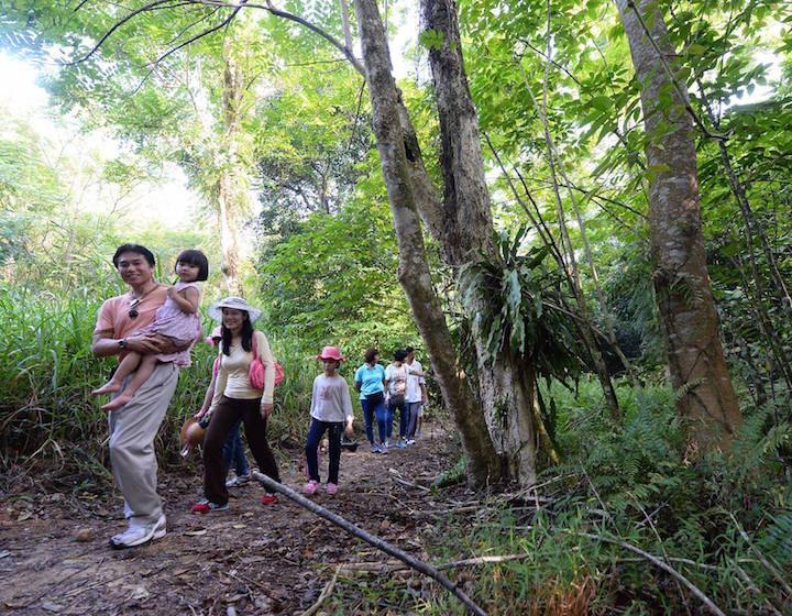 best hiking singapore kids chestnut nature park