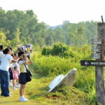 best hiking singapore kids tampines eco green