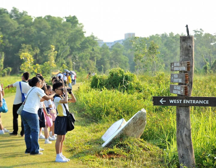 best hiking singapore kids tampines eco green