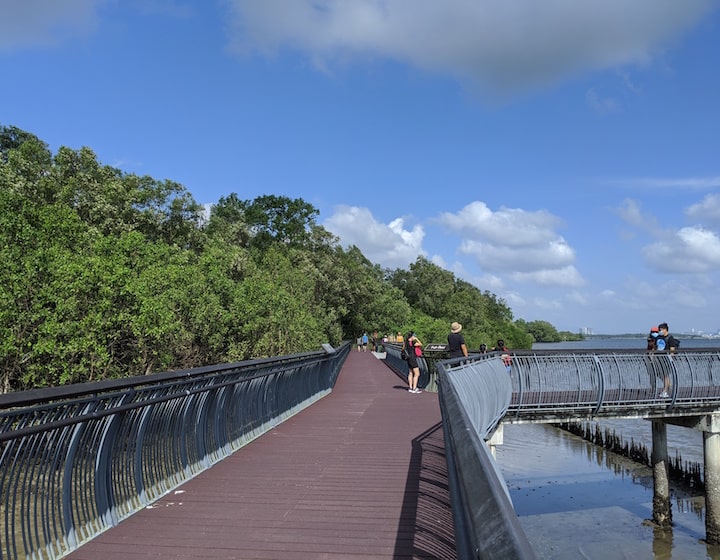 sungei buloh wetland reserve mangrove walk