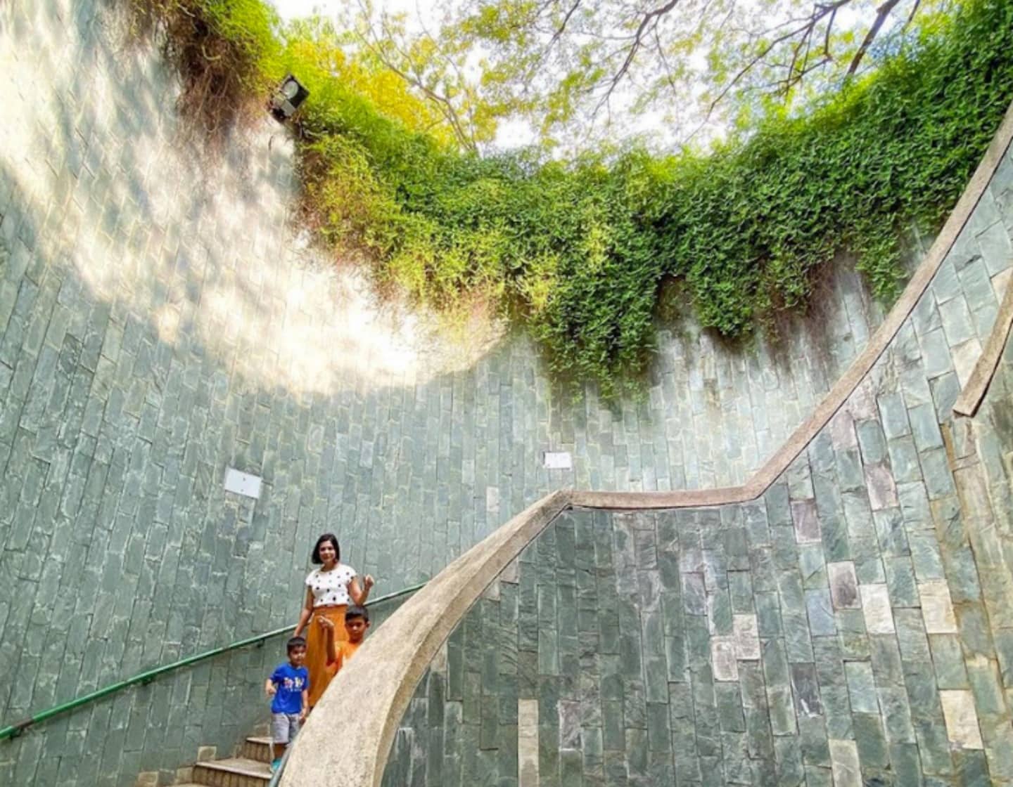 Fort Canning Park - Tree Tunnel