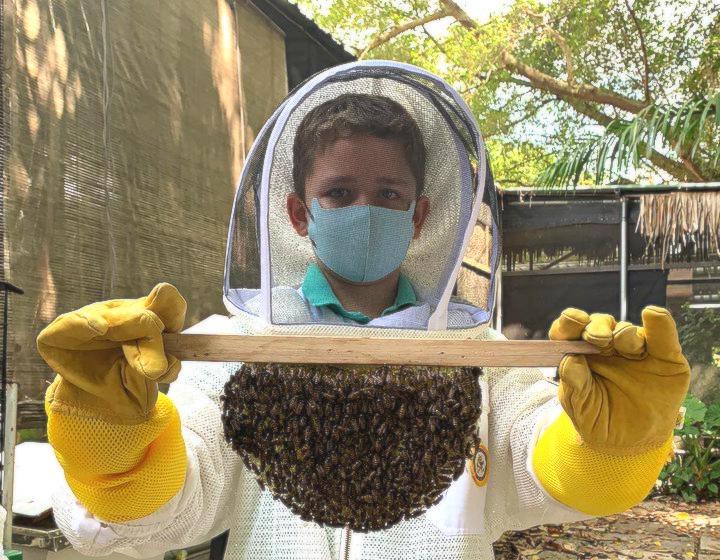 singapore tours beekeeping activities 