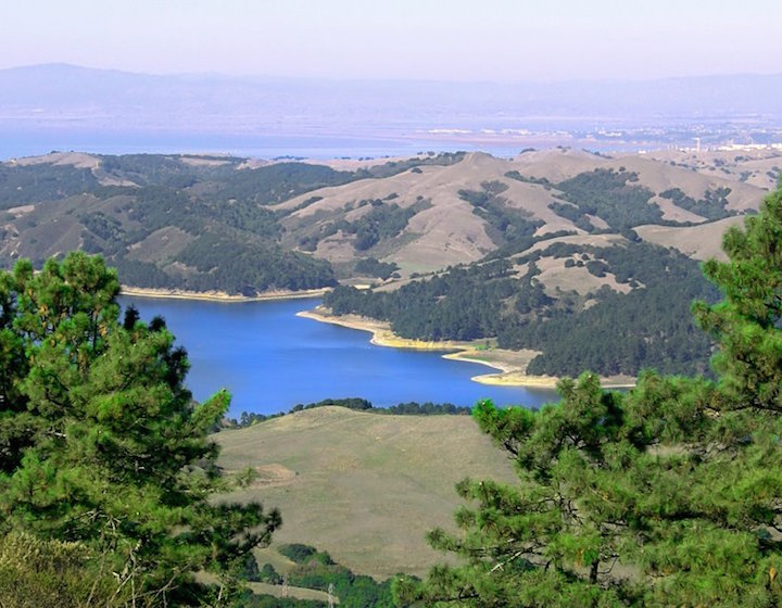 tilden regional park