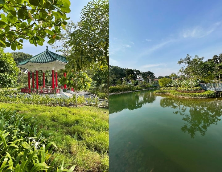 yunnan gardens ntu lake