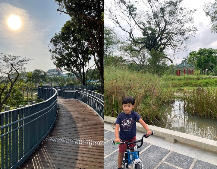 yunnan gardens pond boardwalk