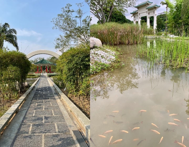 yunnan gardens ntu pond walkway