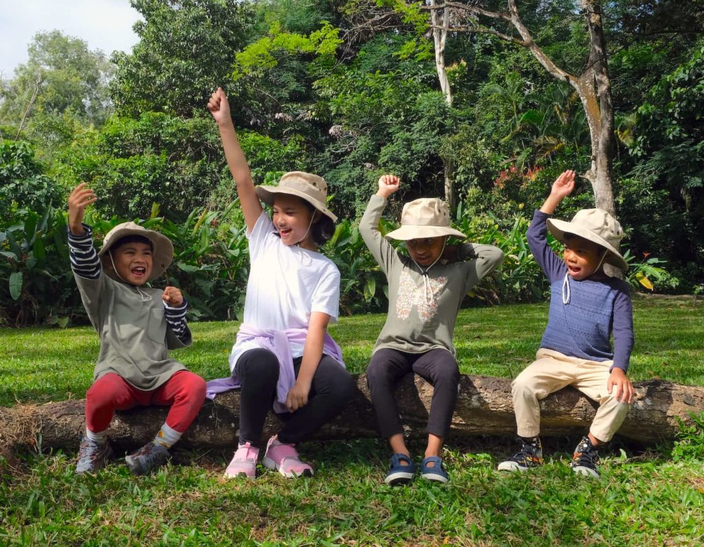 explorers forestplay