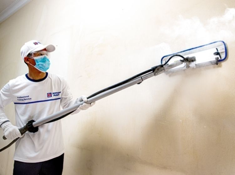 handyman in singapore - nippon paint - man painting wall