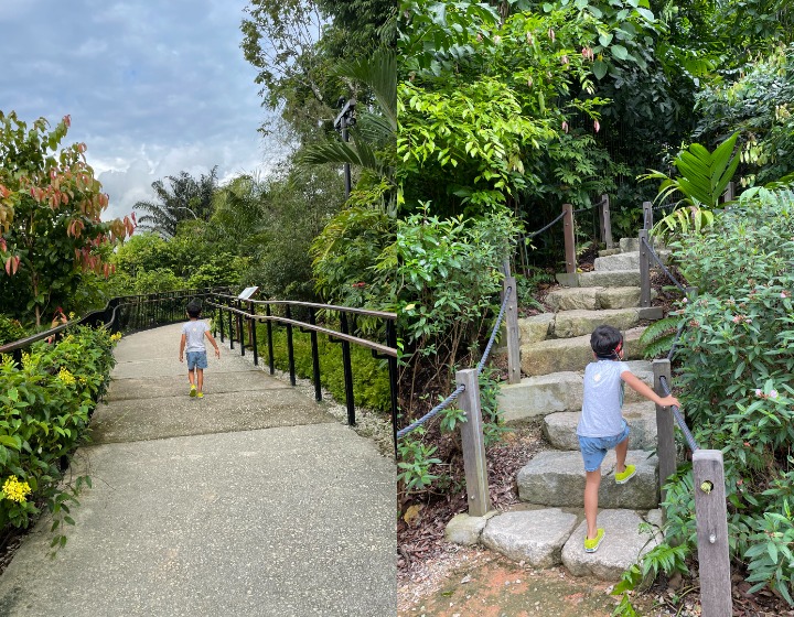 Singapore Botanic Gardens - Mingxin Foundation Rambler’s Ridge