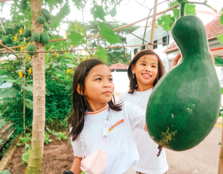 forest school singapore - The Grange Institution