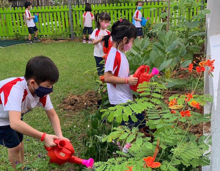 forest play shaws preschool lorong chuan