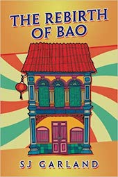 young adult books - the rebirth of bao