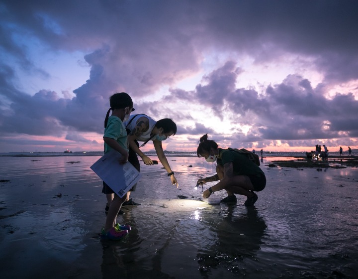 Klook Promo - Changi Intertidal Walk