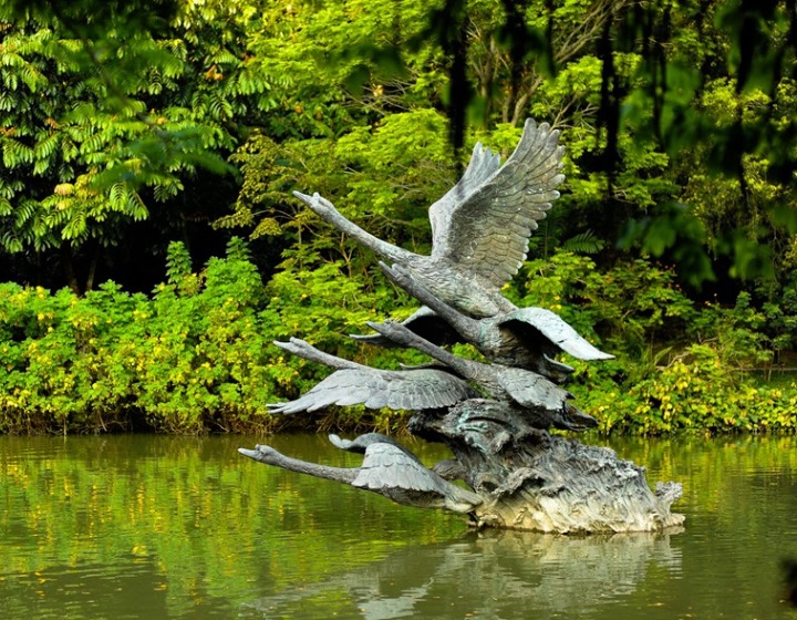 Singapore Botanic Gardens - Swan Lake