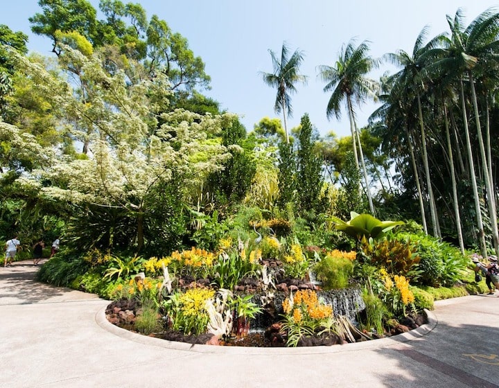 Singapore Botanic Gardens - Orchid Garden