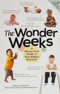 parenting books amazon the wonder weeks booksactually