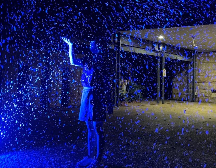 snow in singapore - Night Safari Singapore Zoo