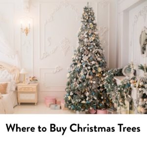 Where to Buy Christmas Trees
