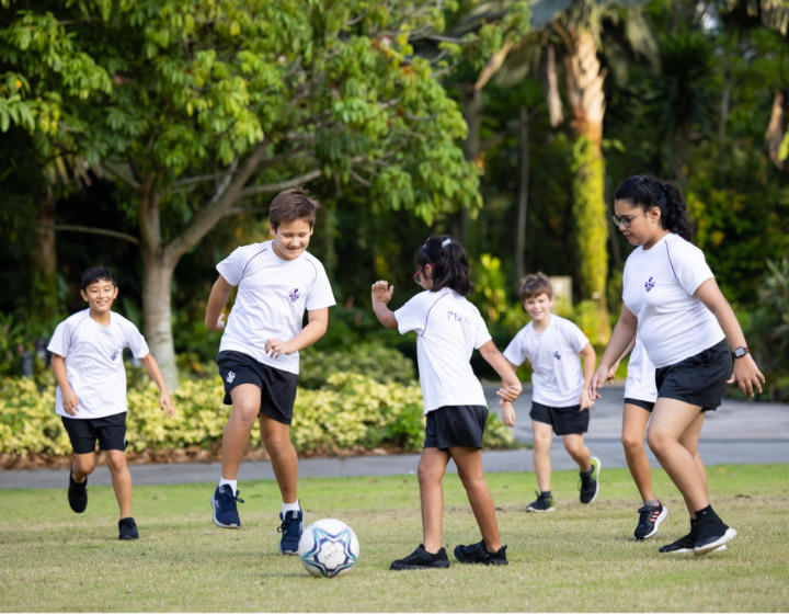 affordable international schools singapore - The Perse School Singapore