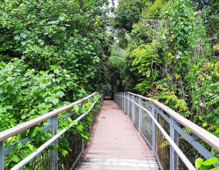 Imbiah Trail at Sentosa