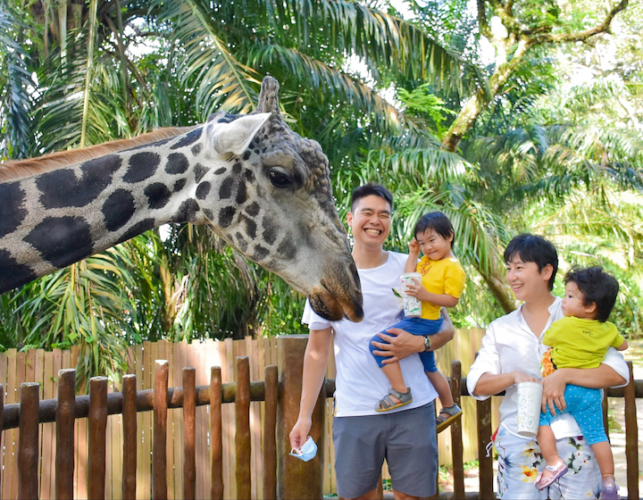 singapore zoo