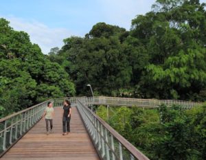 hiking trails singapore rifle range nature park new