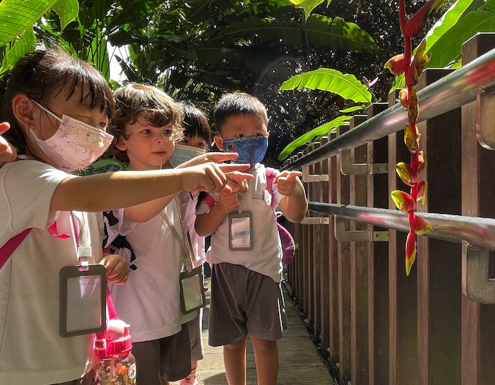 preschool kindergarten singapore mahota preschool