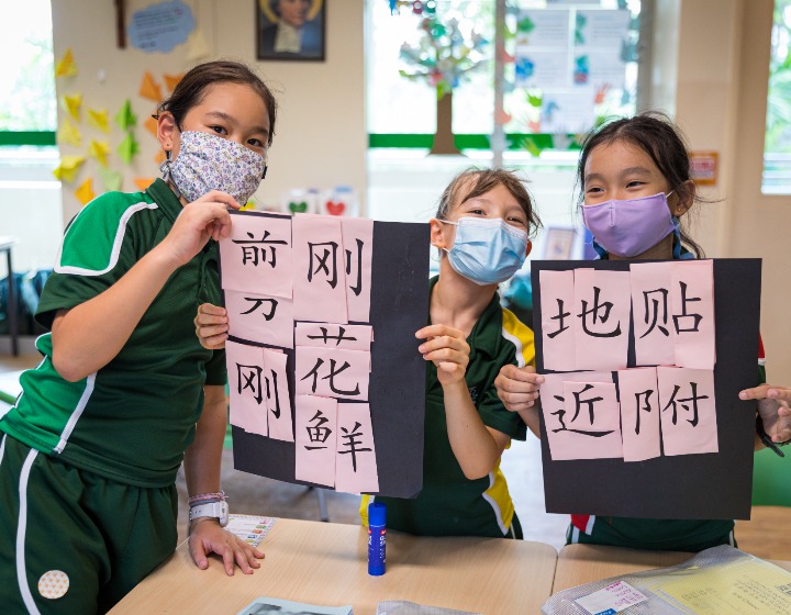 bilingual schools singapore - St. Joseph's Institution International