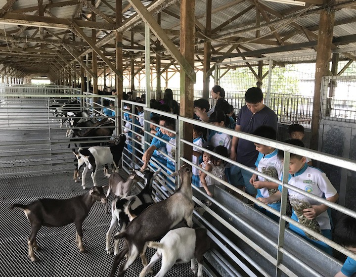 goat farms in singapore