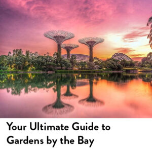 Kid-Friendly Guide to Gardens by the Bay