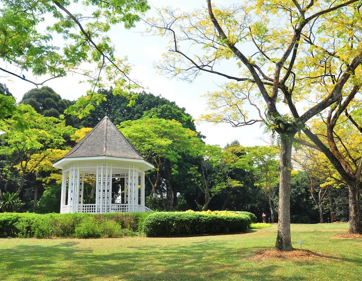 singapore botanic gardens -a favourite kids activity in singapore