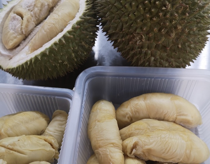 99 Old Trees Durian Singapore 2022