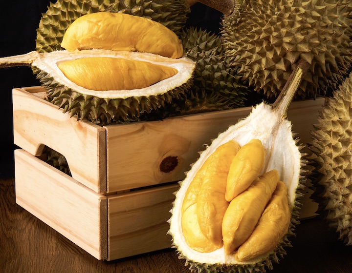 Durian 36 Delivery Durian Singapore durian season durian singapore