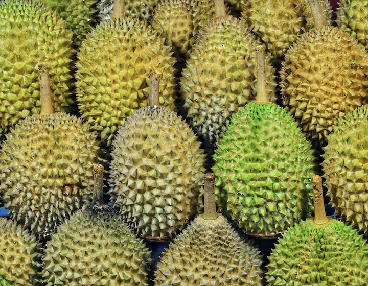 Durian Delivery Singapore 2022