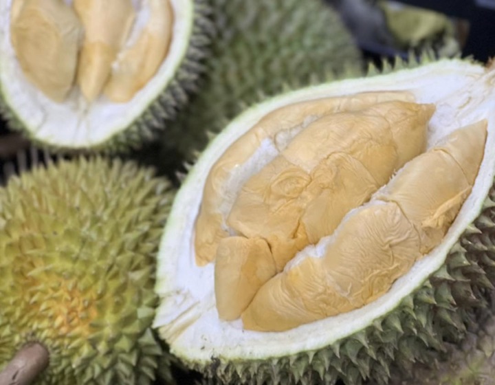 Durian Empire Durian Singapore durian delivery durian season