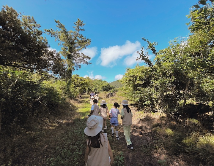 school holiday camps pilco studio students outdoors jeju island