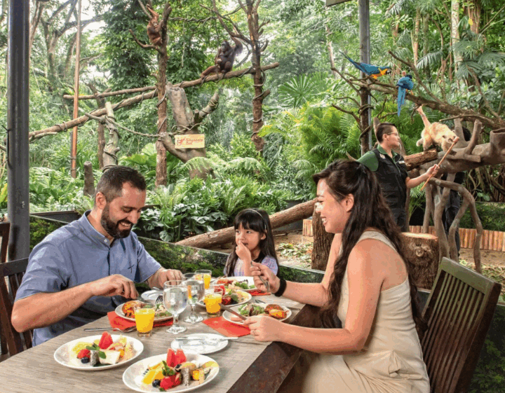 Singapore Zoo Breakfast in the Wild brunch with orangutans 
