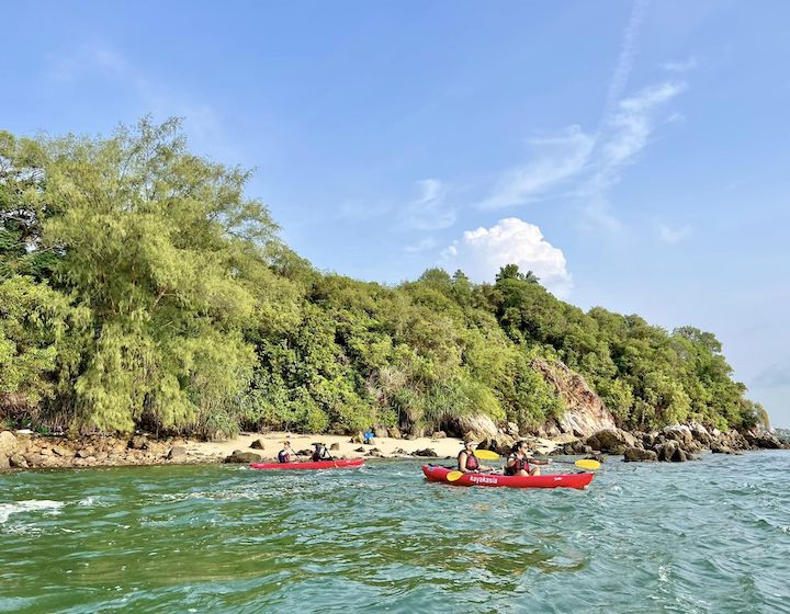 kayaking singapore kayakasia mangrove kayaking