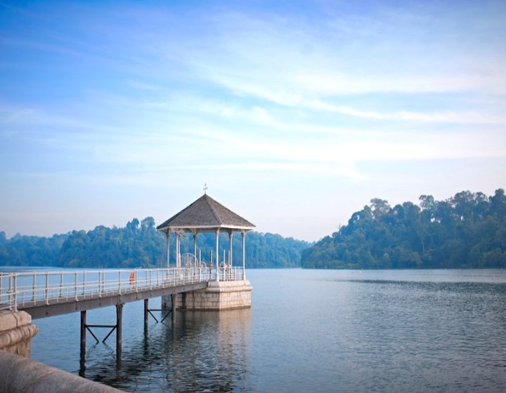 MacRitchie Reservoir pier