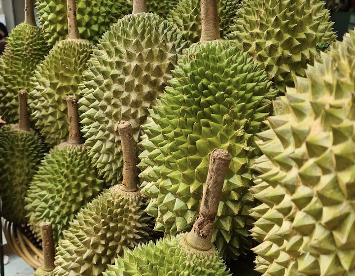 Combat Durian Singapore Durian Delivery durian singapore durian season