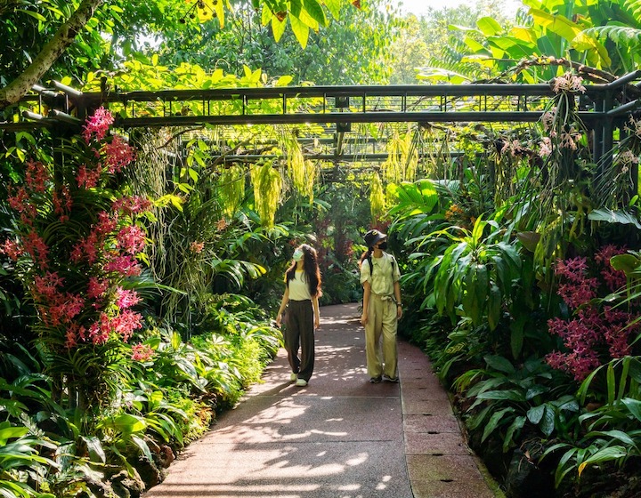 singapore botanic gardens tropical orchidetum walkway ladies in nature