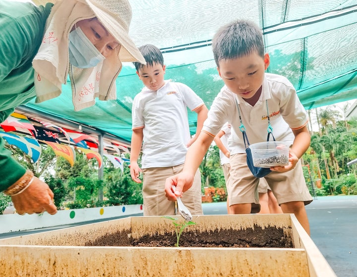 ipc school singapore the grange institution