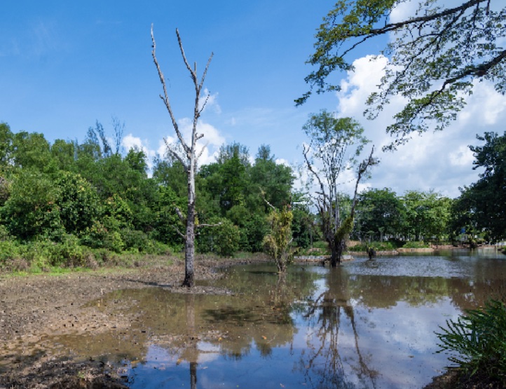 seletar aerospace park in singapore