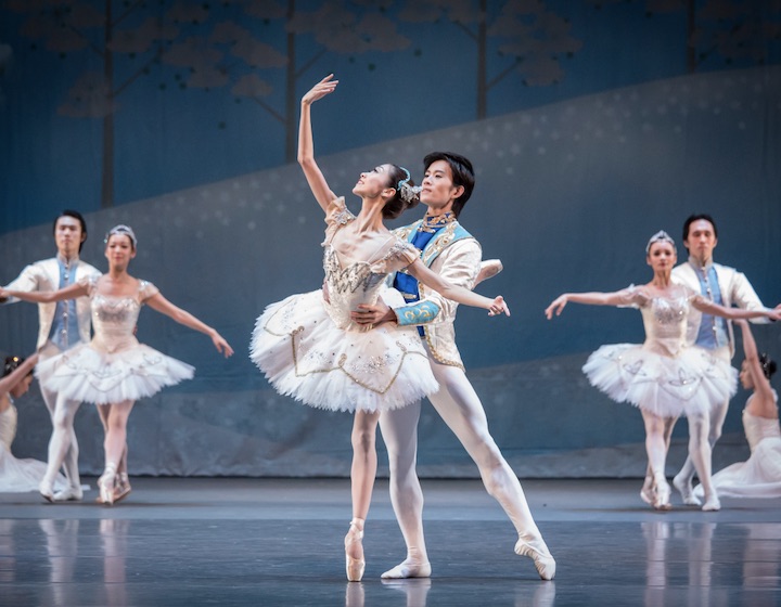 introduction to the nutcracker