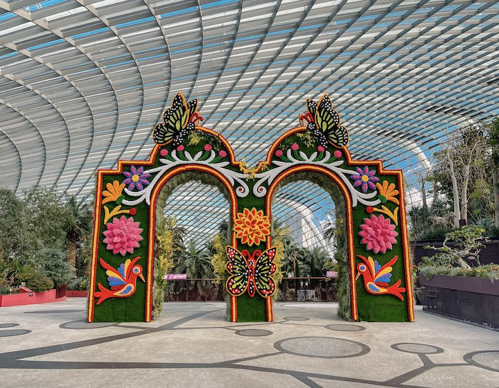 kid-friendly museum exhibitions gardens by the bay hanging gardens mexican roots