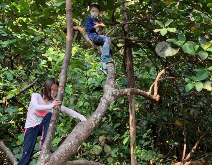 forest school singapore - Forest School Singapore (FSS) outdoor activity