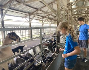 june school holiday activities singapore - animal farm