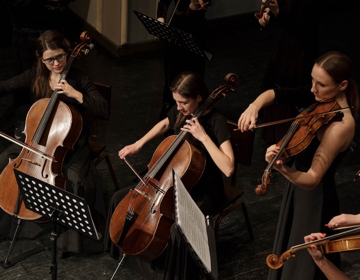 harry potter film concert theatre orchestra