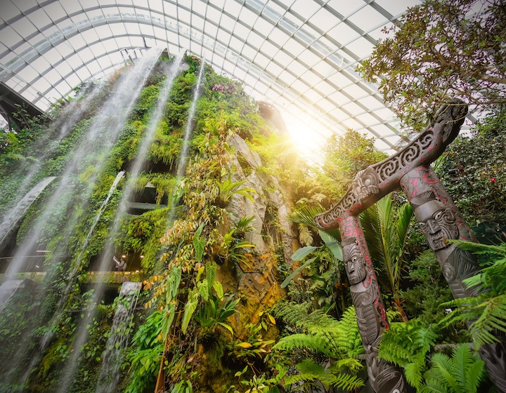 kids activities in singapore cloud forest gardens by the bay 